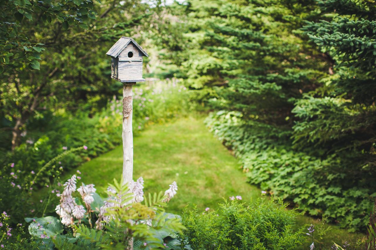 Grand Bank Abbie'S Garden Bed & Breakfast المظهر الخارجي الصورة